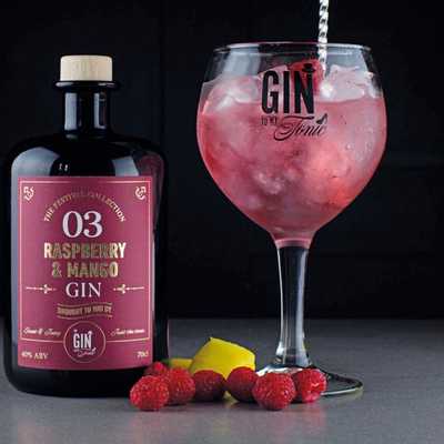 The Gin To My Tonic Gin, Rum & Vodka Festival - The Gin To My Tonic Festival (70% Discount on Tickets) Evening Session