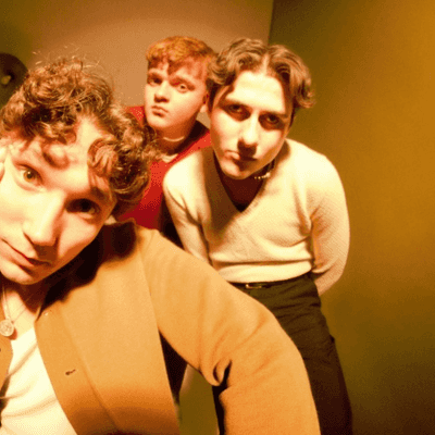 The Manatees - The Manatees