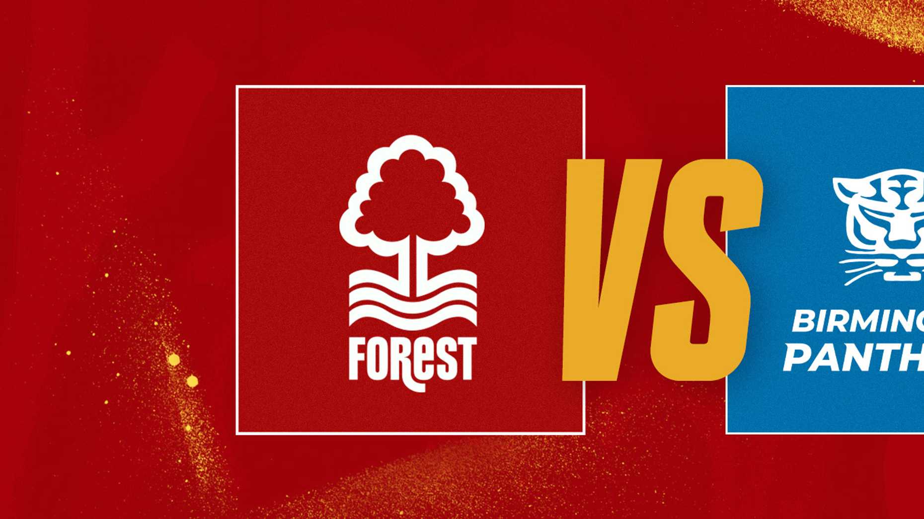Nottingham Forest Netball - Nottingham Forest vs Birmingham Panthers