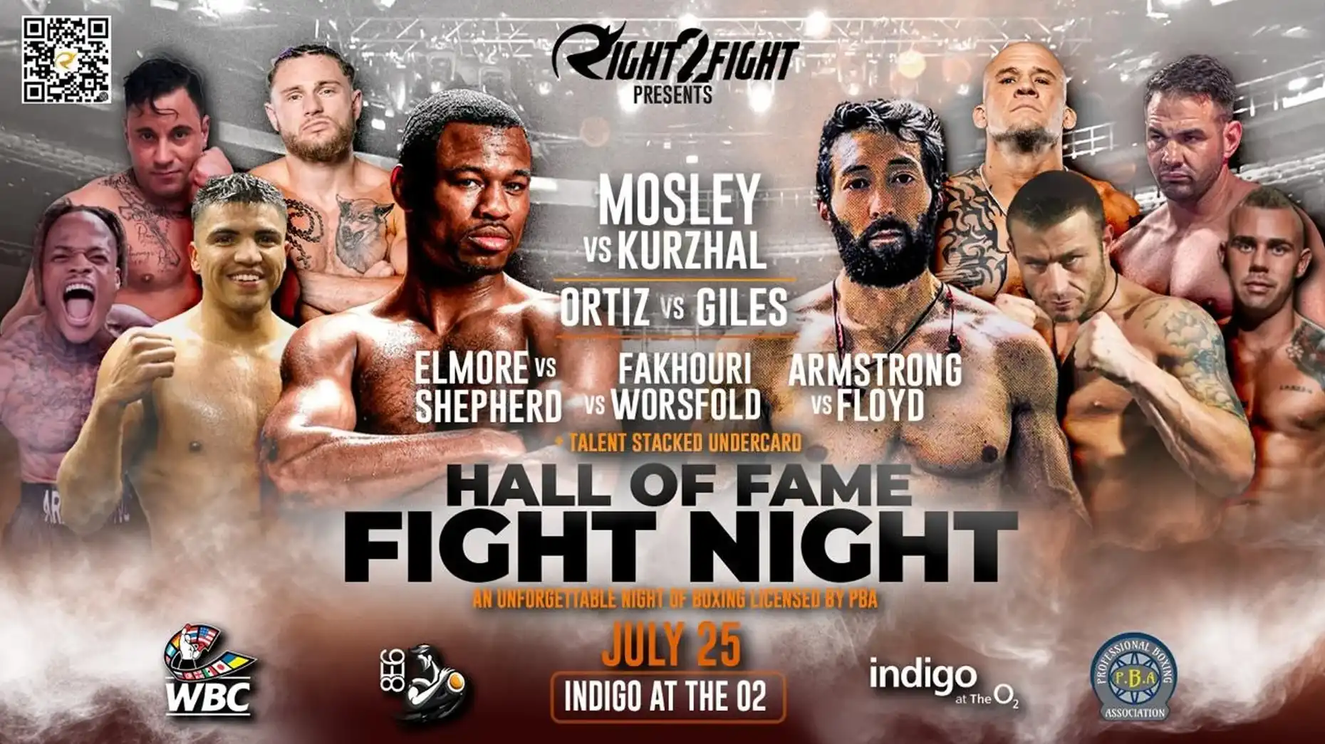 Various Artists - Hall of Fame Fight Night