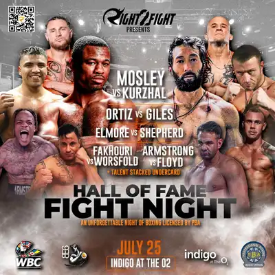 Various Artists - Hall of Fame Fight Night