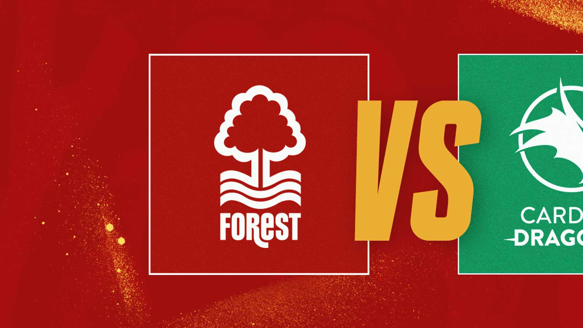 Nottingham Forest Netball - Nottingham Forest vs Cardiff Dragons