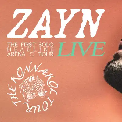 Zayn - ZAYN
