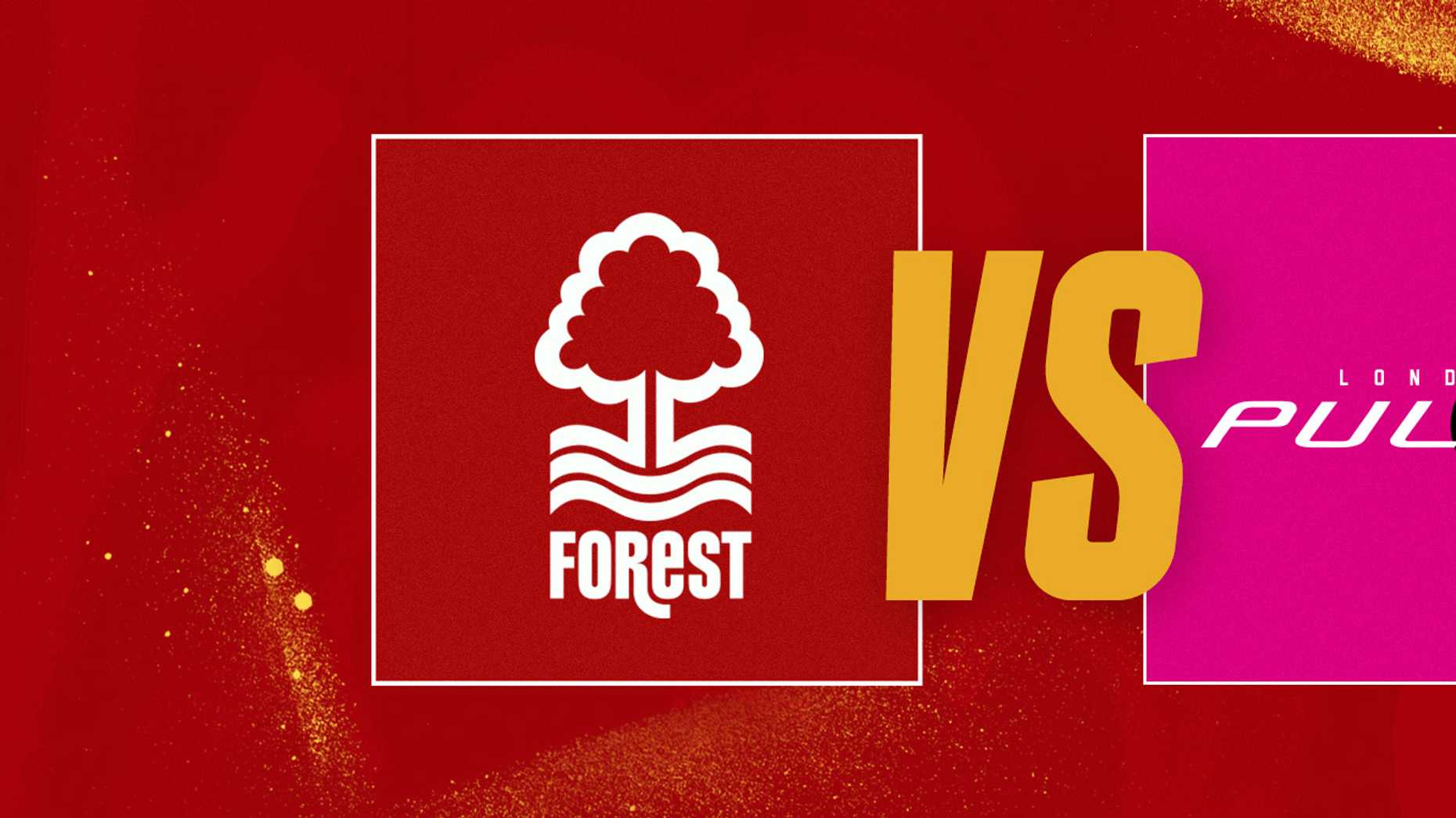 Nottingham Forest Netball - Nottingham Forest vs London Pulse