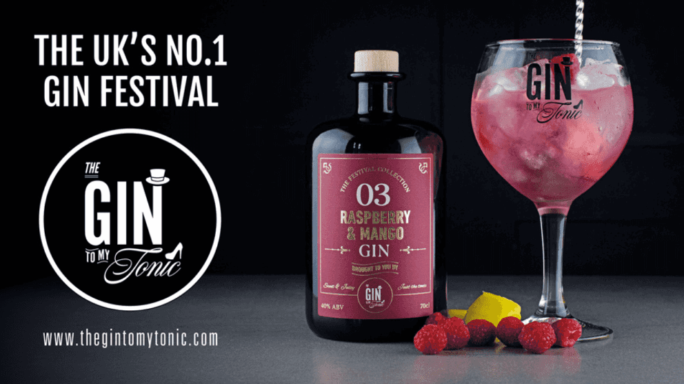 The Gin To My Tonic Gin, Rum & Vodka Festival - The Gin To My Tonic Festival (70% Discount on Tickets) Evening Session, Hull