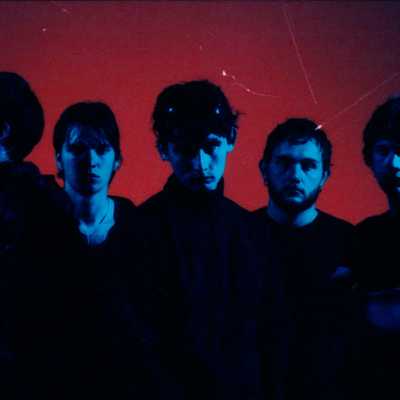 Cardinals - Cardinals