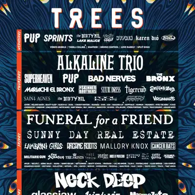 2000 Trees Festival - 2000 Trees Festival 3 day ticket